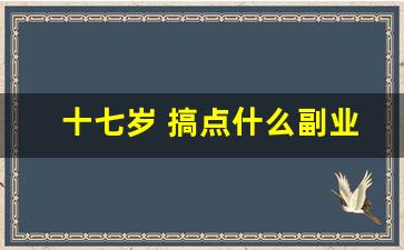 十七岁 搞点什么副业好_16岁创业从哪入手